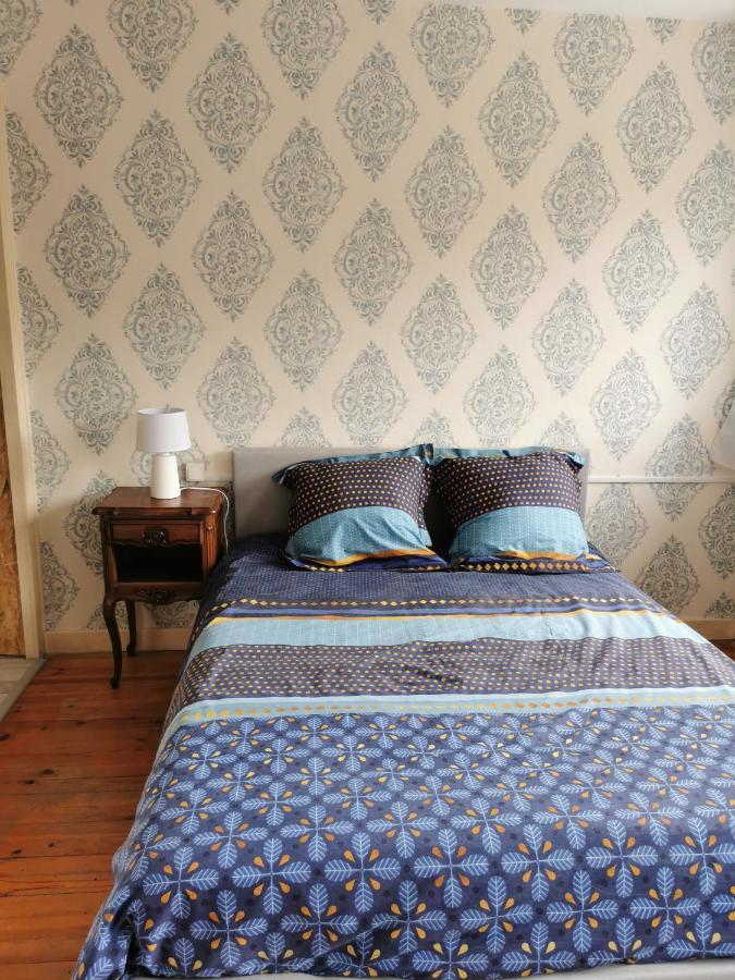 Chambre Privee Dans Appart Partage, Centre Ville, Avec Vue Sur Les Monuments Le Puy-en-Velay Zewnętrze zdjęcie